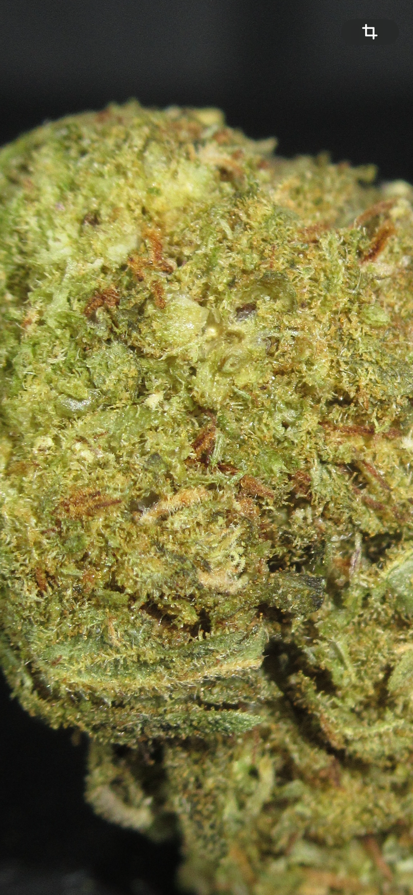 Strawberry FROZEN CBD