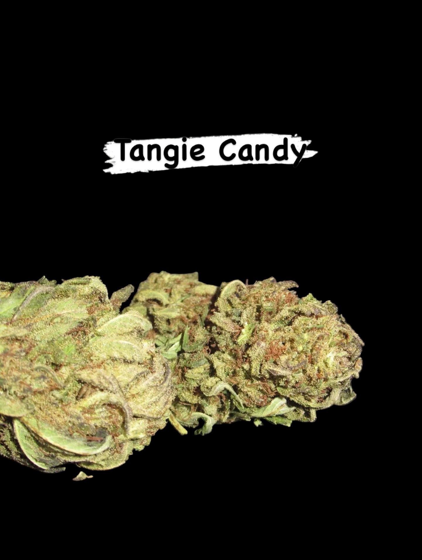 Tangie Candy CBD