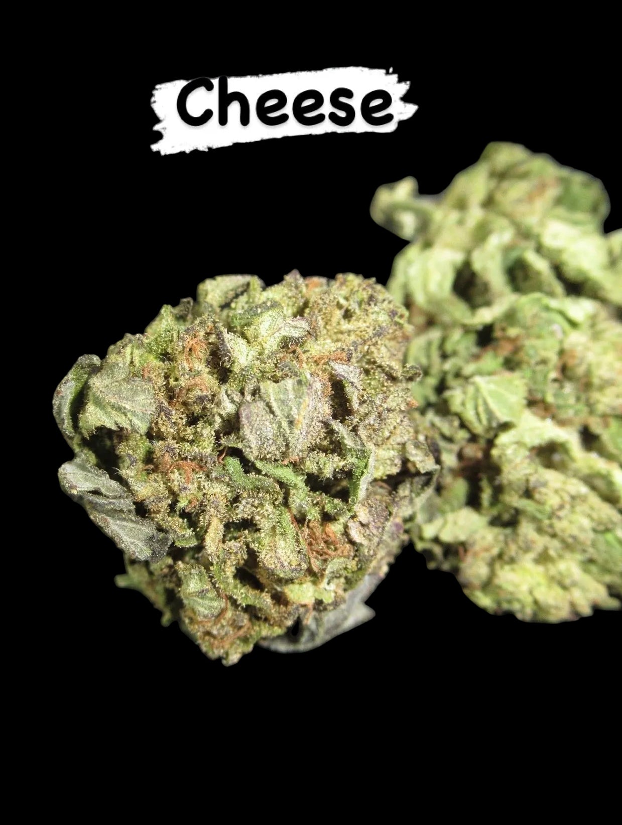 Cheese CBD