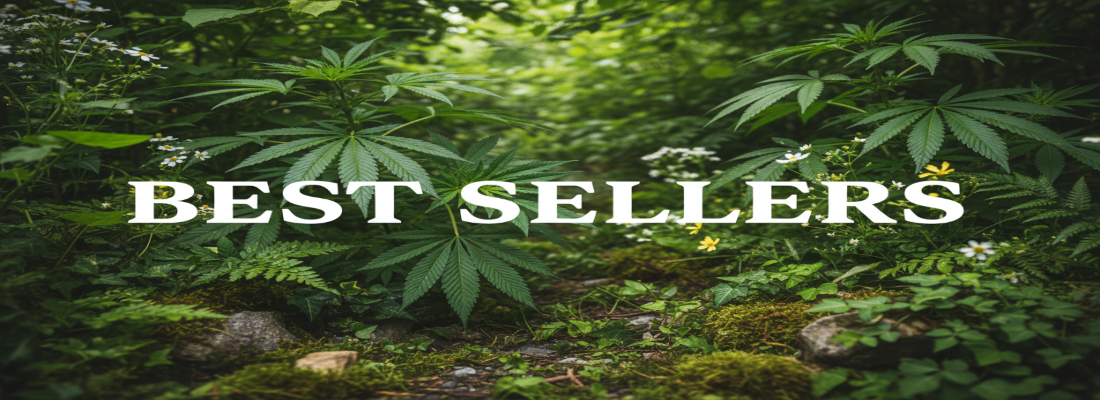 image représentant la catégorie des meilleurs ventes, un style nature, verdure